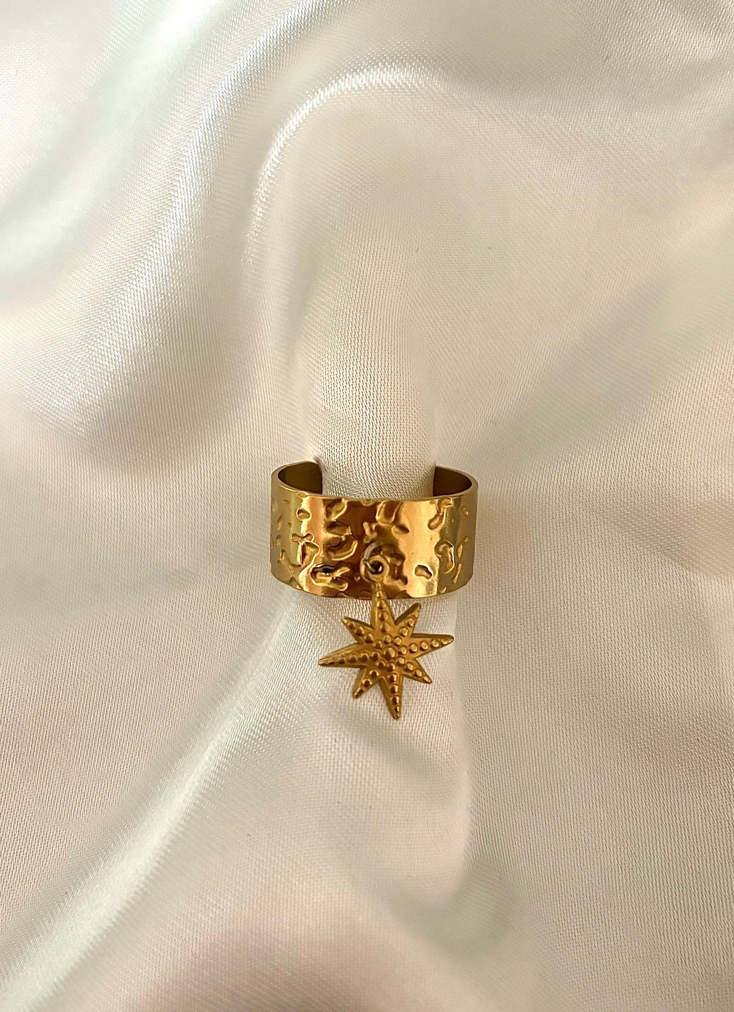 Bague breloque Riceys en acier inoxydable, vue de face