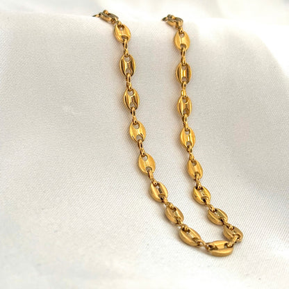 Collier Montana